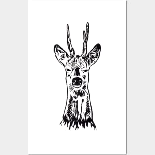 roebuck Rehbock roe Reh linoprint Linolschnitt Posters and Art